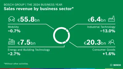 Business year 2024: Sales by business sector
