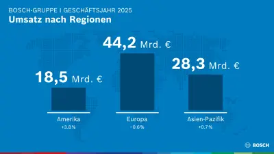 Business year 2025 : sales revenue by region